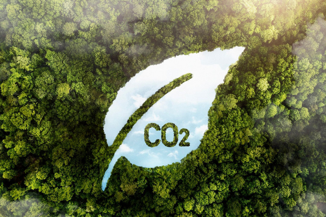 Understanding the Main Sources of Air Pollution